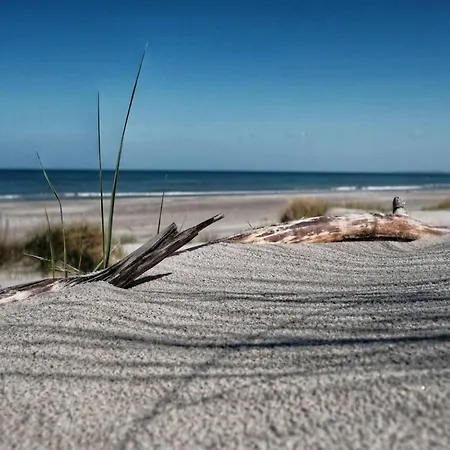 בית נופש Reihenhaus Mit Wlan In Am Mueritzsee *