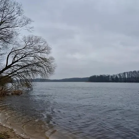 בית נופש Reihenhaus Mit Wlan In Am Mueritzsee Buchholz (Mecklenburg-Vorpommern)